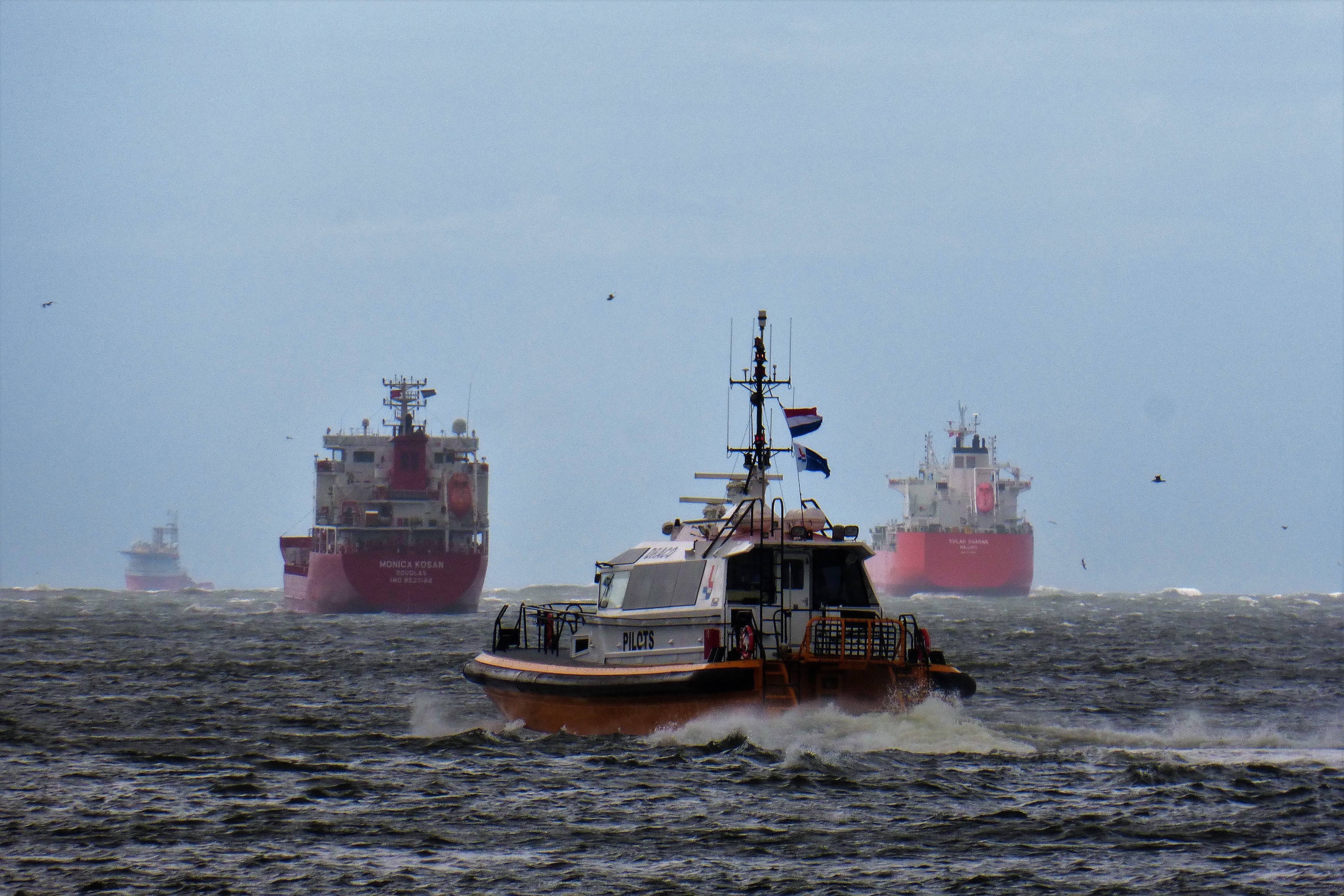 Pieren IJmuiden   06-07-21 